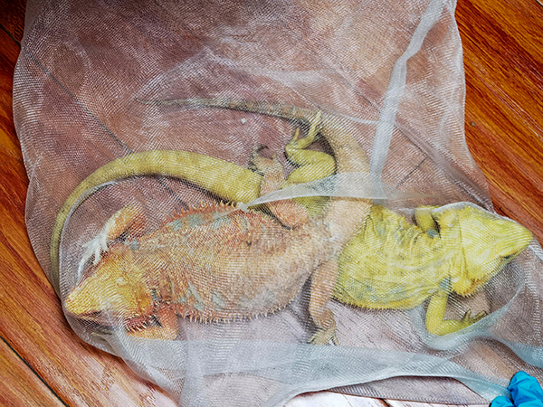 1655778254128178.jpg 360c0b607d35778ff946b994e8811118.jpg